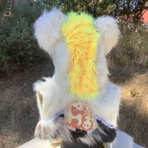 lemon hood back view