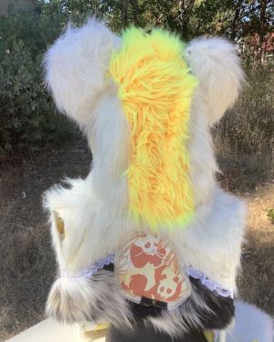 Lemon Panda Spirit Hood
