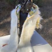lemon hood front view 2