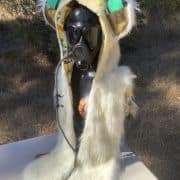lemon hood front view outer