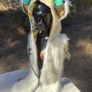 Spirit Hoods