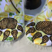 lemon hood paws closeup
