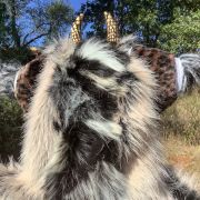 shape hood closeup