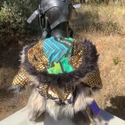Shape Shifter Spirithood